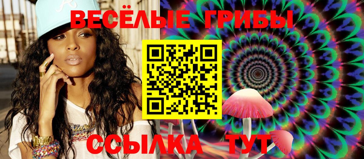 Малоярославец  Галлюциногенные грибы GOLDEN TEACHER  Вход с VPN 