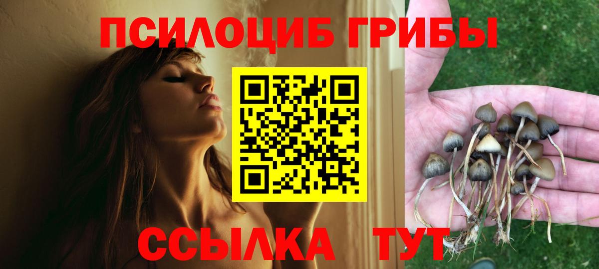 Галлюциногенные грибы MAGIC MUSHROOMS Малоярославец